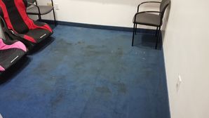 Before & After Carpet Cleaning in San Antonio, TX (1)